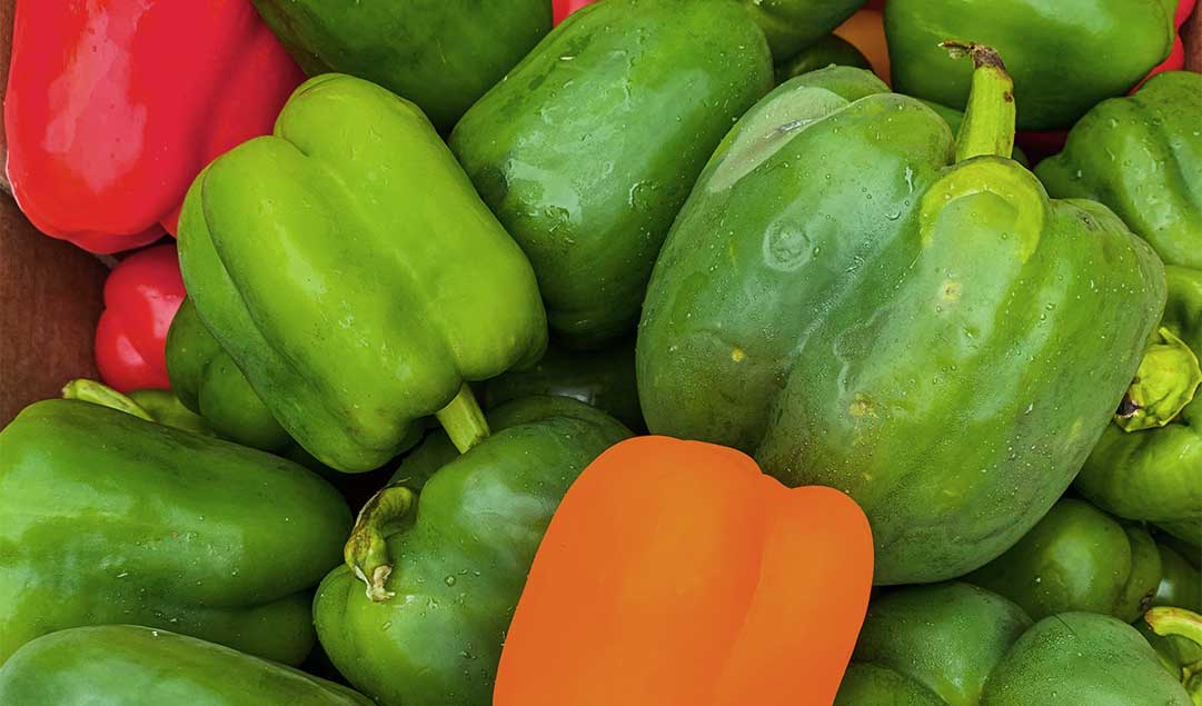 red, orange and green peppers