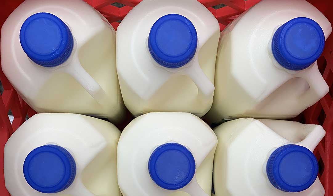 aerial view of jugs of milk