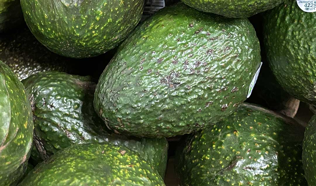avocados