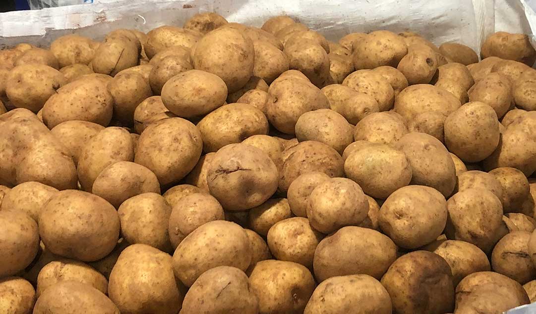 large bag of potatoes